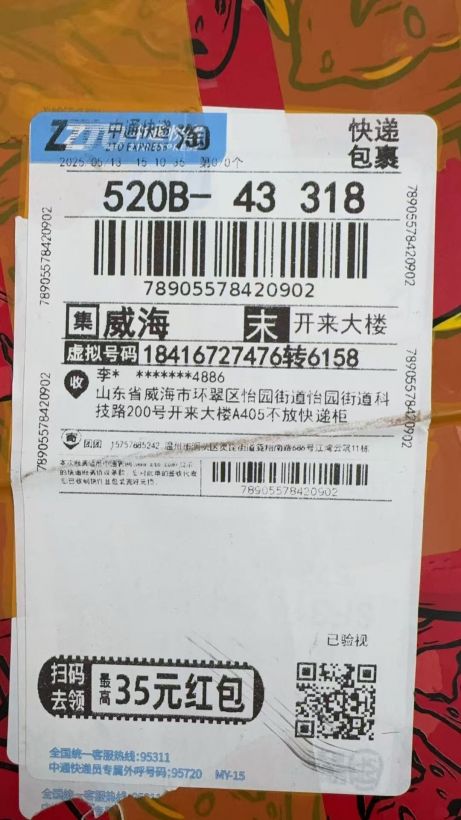mango_input_17477304545146.jpg